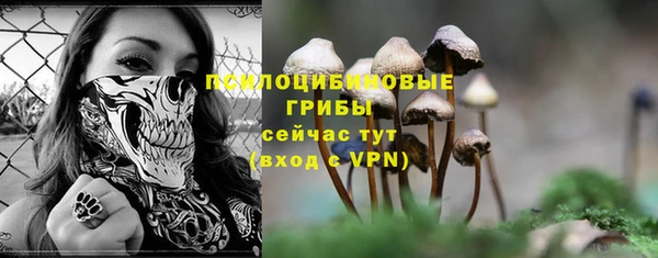 МДМА Медногорск