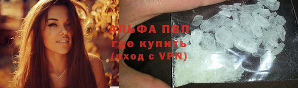 PSILOCYBIN Мегион