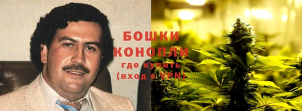 PSILOCYBIN Мегион