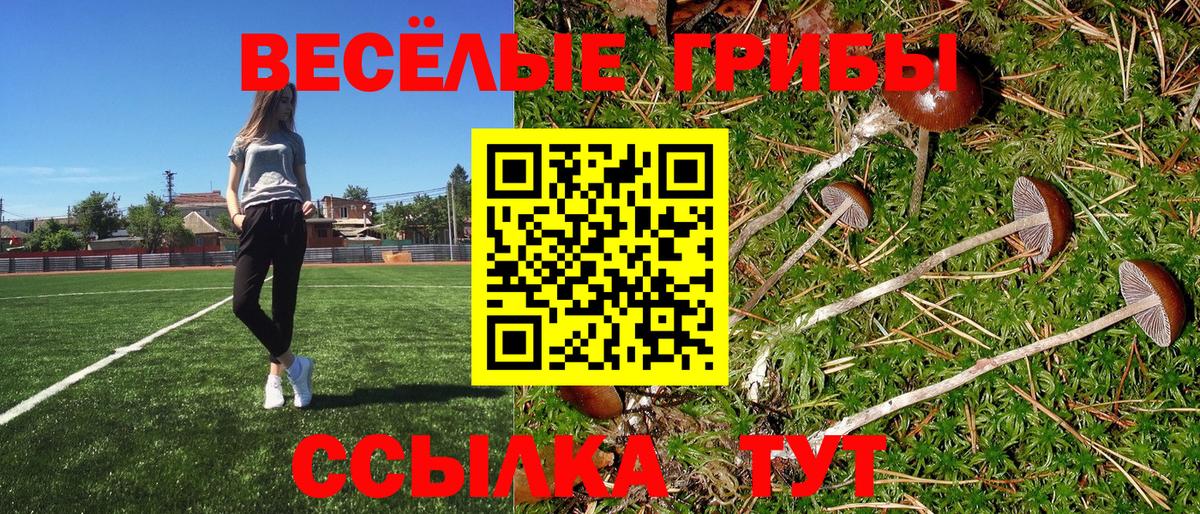 Галлюциногенные грибы прущие грибы Джанкой